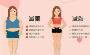 减肥减重瘦身服务惠连健康