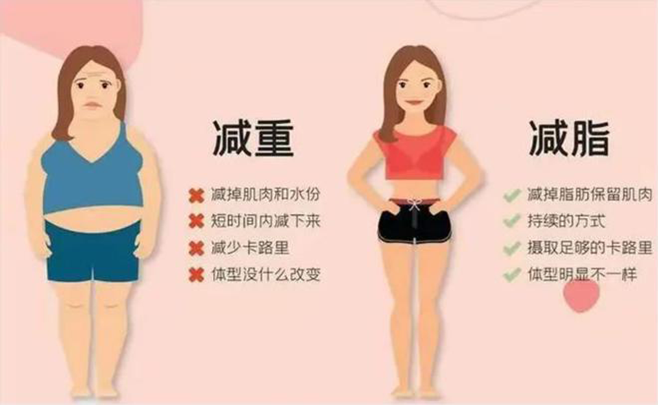 减肥减重瘦身服务惠连健康